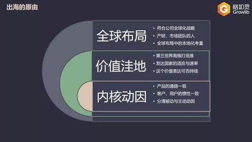 教育出海的荊棘之路 技術產(chǎn)品型公司的海外挑戰(zhàn)與反思